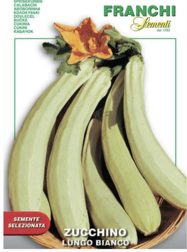 Squash - Summer - Zucchini Lungo Bianco (3.25" pot)